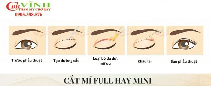 cat-mi-full-hay-mini-2