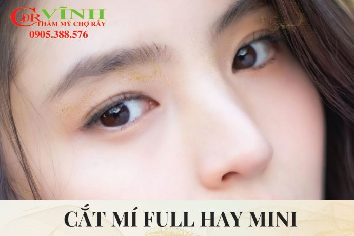 cat-mi-full-hay-mini
